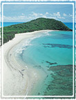 Cape Tribulation - where the rainforest meets the reef